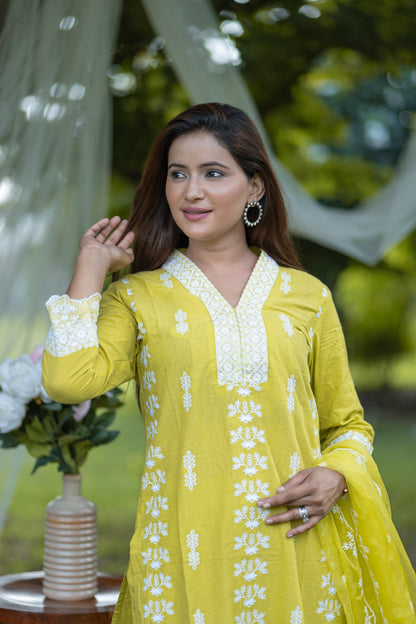 Vibrant Greenish Beige Embroidered Cotton Suit